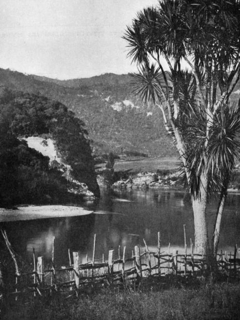 Atene (Athens), on the upper Wanganui River near the Maori settlement of Koroniti (Corinth). —...