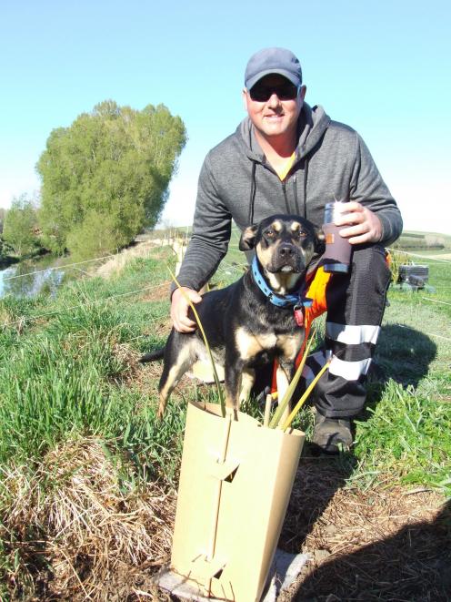 Adam Blignaut, with dog Tessa, plants native plants as part of a 1.5km stretch of planting at Kia...