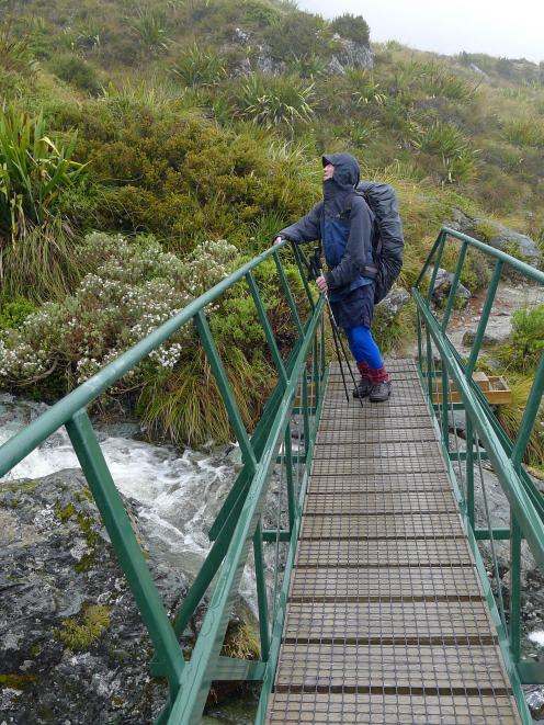 A bridge on the way to Lake Mackenzie. 