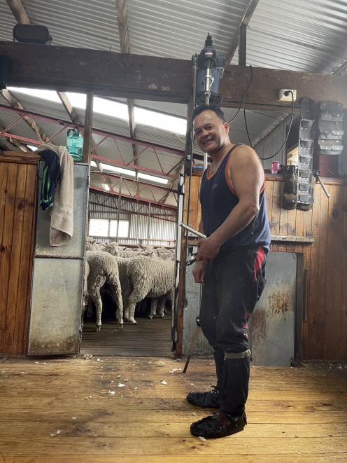 Kawau Shearing owner Dave Kawau is seeking staff to shear with him in South Australia. PHOTOS:...