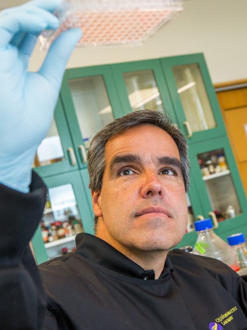 University of Otago researcher Prof Miguel Quinones-Mateu tests the ability of heat and UV light...