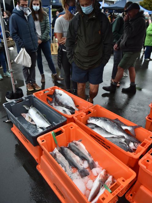 Harbour Fish’s stall at the Otago Farmers Market. PHOTO: GREGOR RICHARDSON