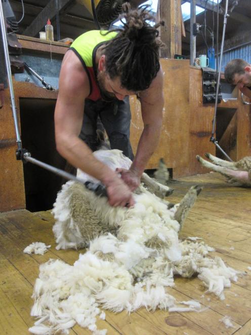 Waipawa shearer Brandon Coombe-Gray.