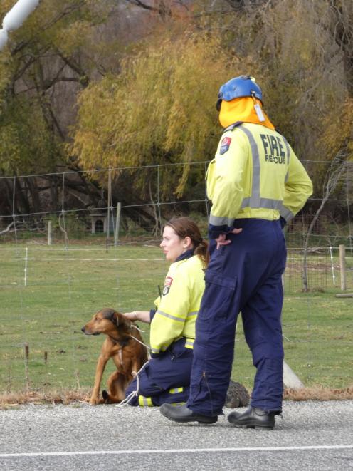 Firefighters comfort a dog that was a passenger in a vehicle that rolled.