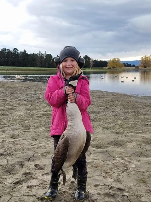 Young hunter Piper Gibb-Jeffery (6), of Dunedin, with a Canada goose on her first opening day in...
