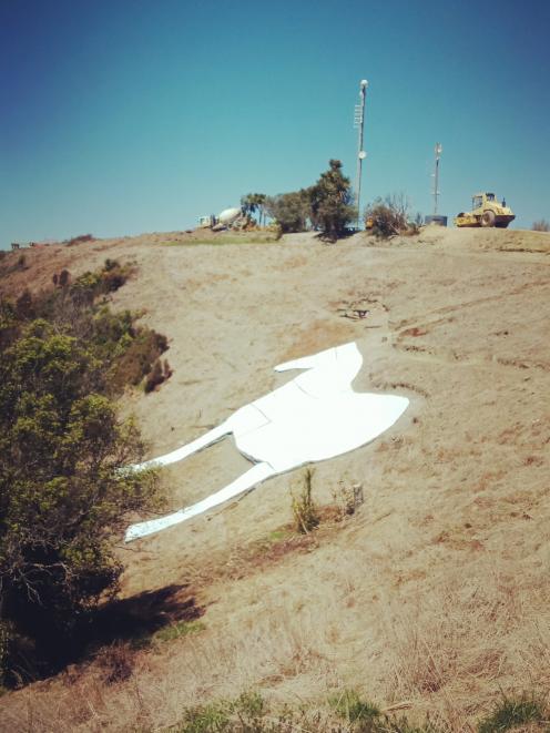 The White horse in Waimate has had a lick of paint.