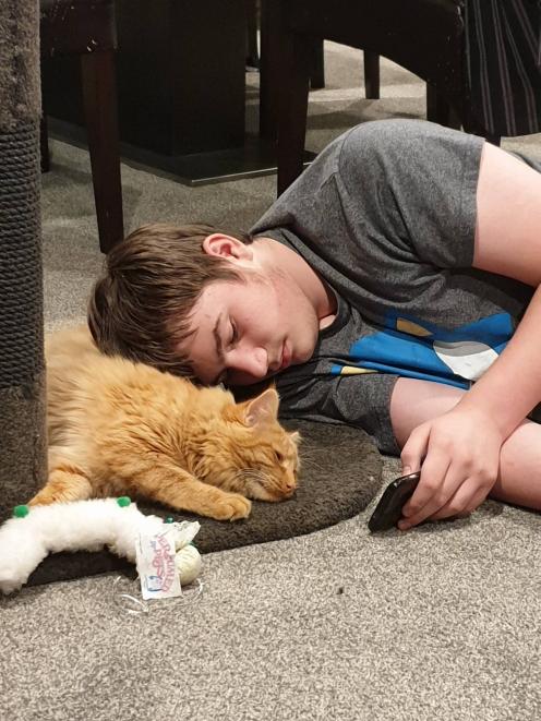 Logan Hindle with family cat Squire before he lost one of his front legs. Photo: Supplied