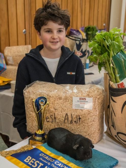 Otago Cavy (Guinea Pig) Club president Josh Wilson-Jones is pictured with his Best in Show...