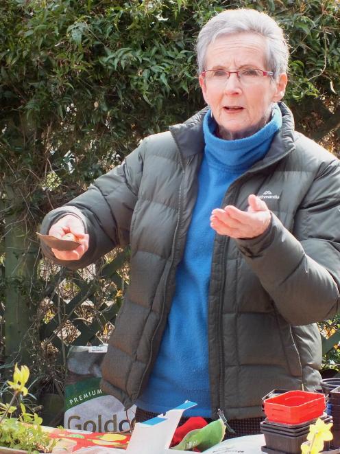 Lynne Carlyle give tips on growing from cuttings. 