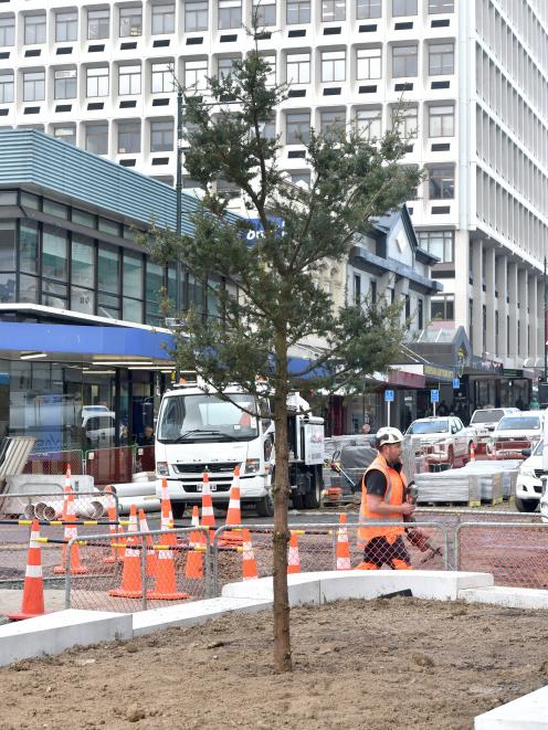 The first tōtara tree was planted in George St last week along with some European beech trees and...