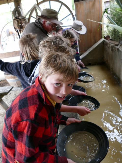 Ned Wightman (12), of Tuapeka West, pans for gold during the Lawrence Heritage Day yesterday...