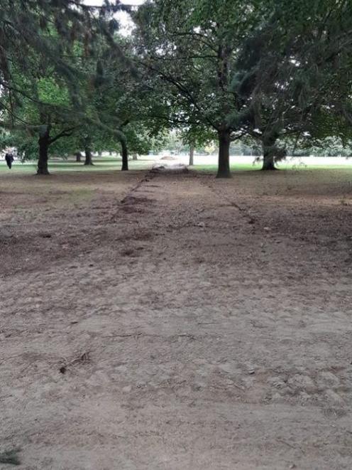 The Walnut Ave site where the old flying fox was removed in early 2020. Photo: Supplied