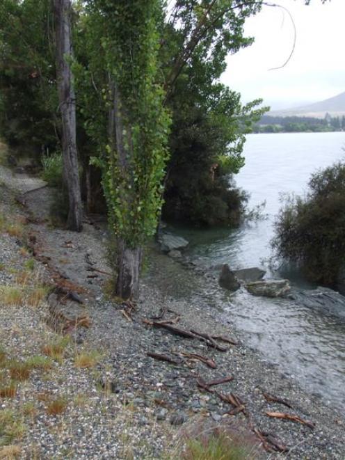 High lake levels at Glendhu Bay, near Wanaka, have already washed out walkways and swamped...