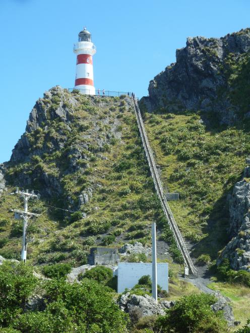 A 258-step  stairway leads to the base of   candy-striped Cape Palliser lighthouse. 