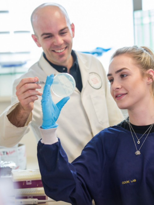Senior researcher Matthew McNeil and PhD candidate Natalie Waller. Photo: University of Otago