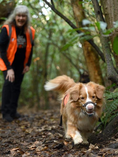 Holly and her owner Debbie Bishop look for native frogs after recently being certified as New...