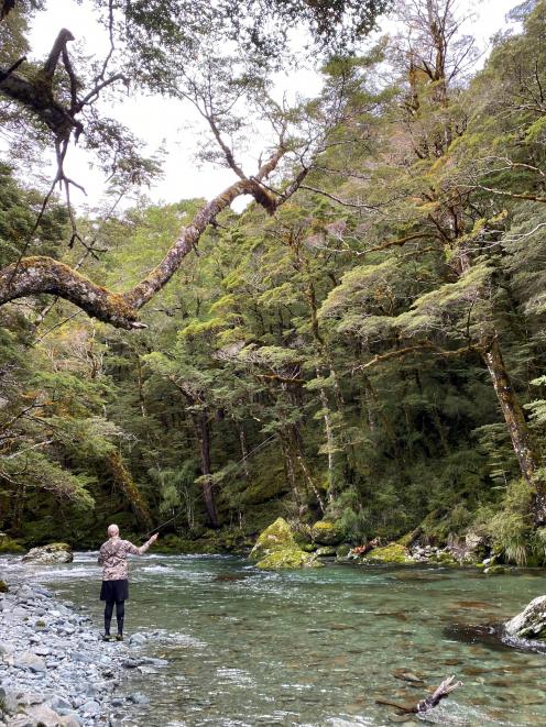 Otago designated waters comprise the Greenstone River, Caples River (pictured), Dingle Burn,...