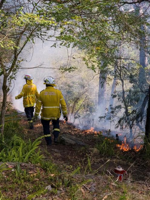 Firefighters walk through a hazard reduction burn in Sydney earlier this month. Photo: Reuters Firefighters walk through a hazard reduction burn in Sydney earlier this month. Photo: Reuters