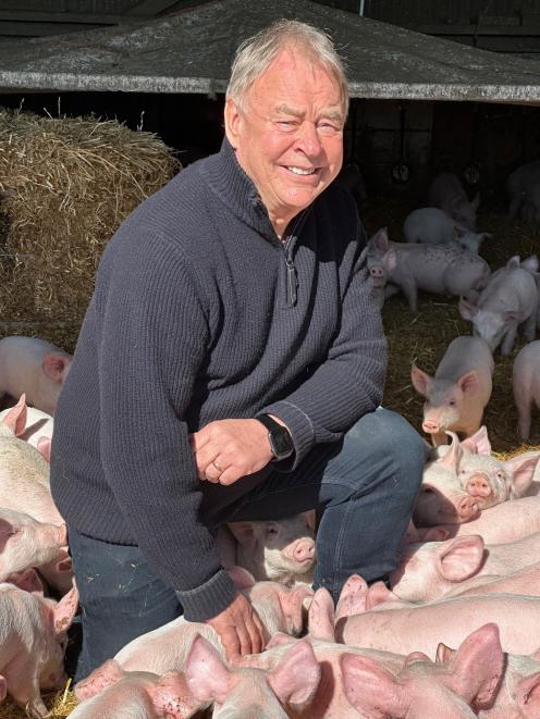 Canterbury veteran pig farmer Chris Trengrove has brought innovation to the pork industry. PHOTO:...