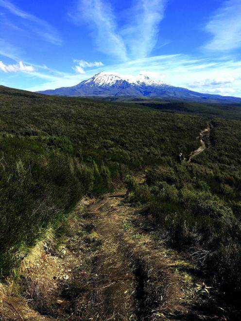 One last glance back at the Tongariro National Park.