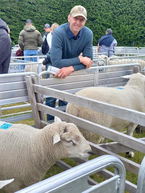 North Otago ram breeder Dave Robertson with some of his Rocket Rams during his sale last week....