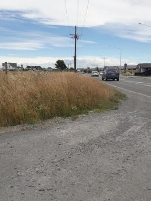 Uncut berms, like this one in Edward St, Lincoln, are a fire risk. PHOTO: BARRY CLARKE