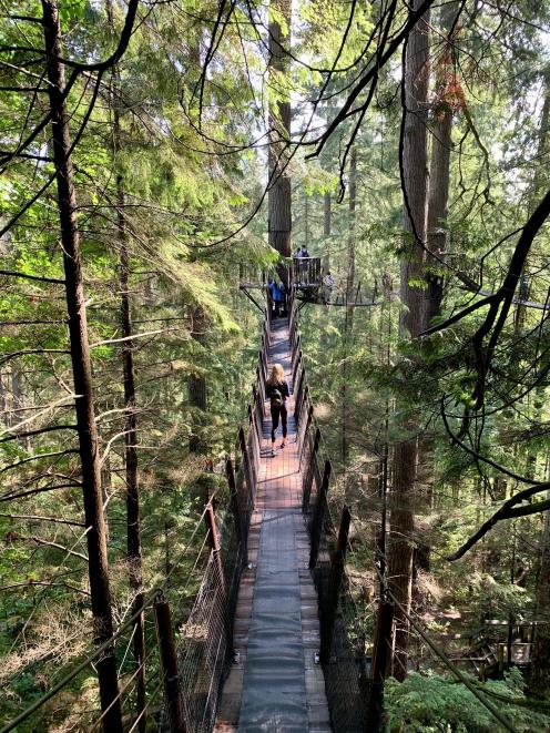 Living Forest and Treetops Adventure, Capilano Canyon.