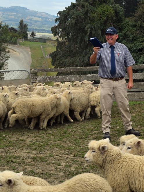 PGG Wrightson auctioneer Mark Yeates spots a bid at an on-farm lamb sale in South Otago.