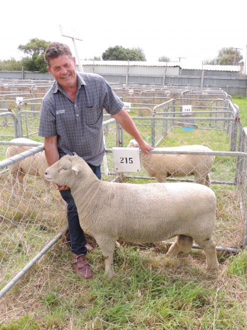 Waimate ram breeder Chris Medlicott with one of his young Southdown rams. PHOTO: SALLY BROOKER