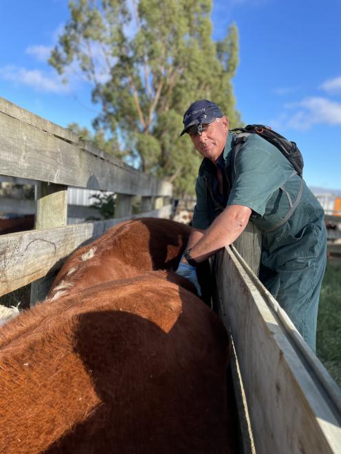 Pregnancy scanner Blair Stewart enjoys the people and getting into the back blocks of Otago as a...