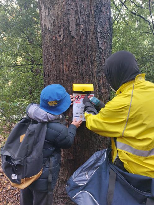 Local Rotarians and fellow volunteers will be deploying wasp bait stations in Dunedin’s Town Belt...