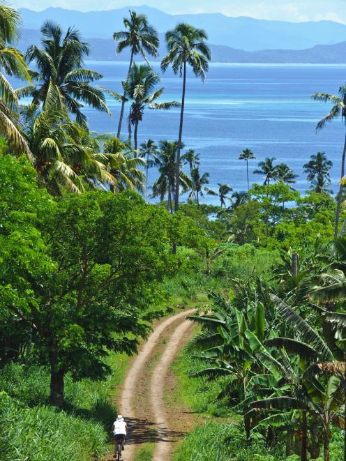 Taveuni Island is off the beaten track.  PHOTO: GETTY IMAGES
