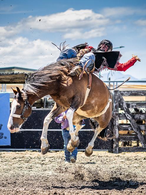 Newly crowned New Zealand Rodeo Cowboy Association Rookie Bareback Champion Chris Ure, of...