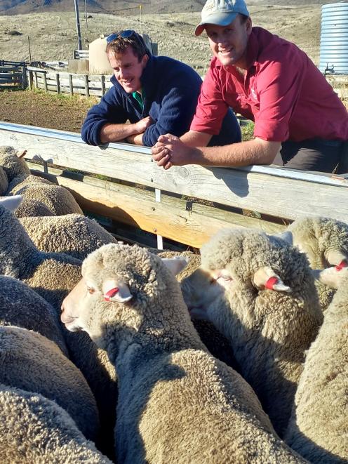 Australian Nuffield scholar Andrew Rolfe (left) views some merino sheep with Angus Fraser at Bog...