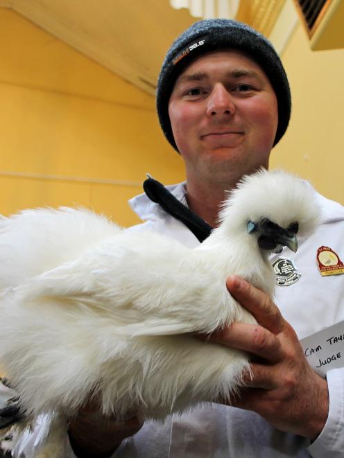 Judge Cameron Taylor, of Geraldine, presents the first place white silkie pullet of Frances...