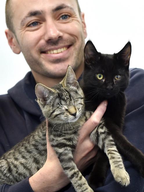 Blind tabby Tabitha with her seeing-eye cat Hope and Dunedin SPCA feline team leader Robbie...