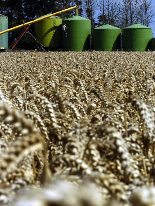 The grain and seed trade has made good progress under New Zealand Grain & Seed Trade Association...