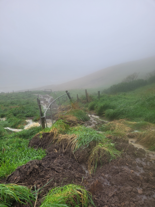 Damage on the Tunnel Beach track caused by last week's extreme weather. Photo: Doc