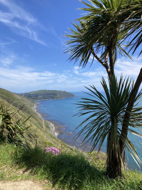 Looking along the coast to Pukerua Bay.