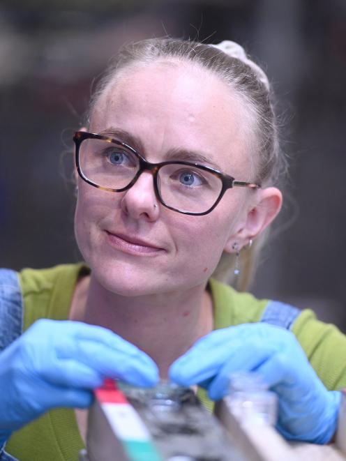 University of Otago geology PhD student Natalie-Jane Reid studies a core sample from the sea bed...