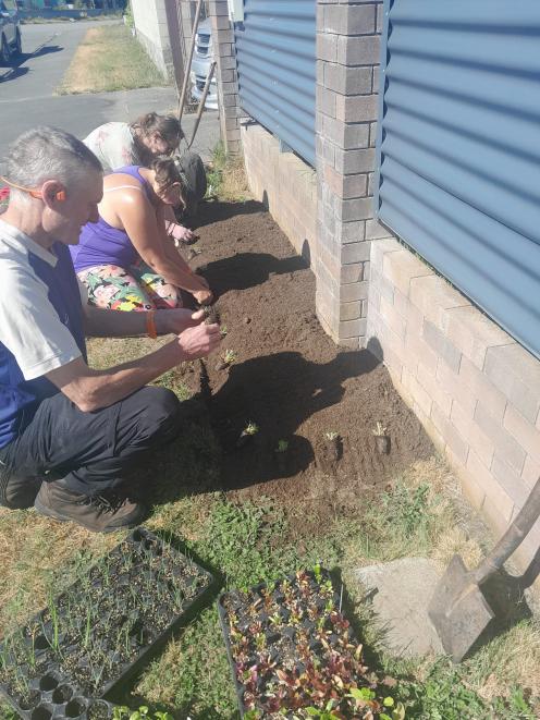 New Brighton residents plant their berm gardens. Photo: Supplied