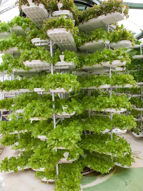 A vertical farm in Devon, England. Photo: Getty