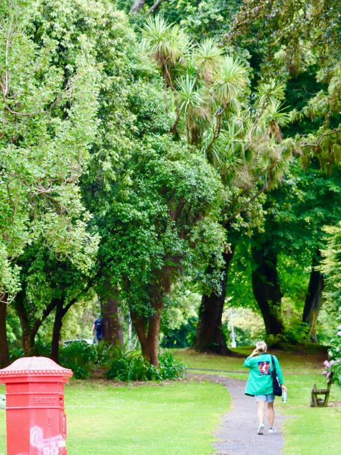 The Dunedin Town Belt is a green belt covering about 200ha, filled with native and exotic trees,...