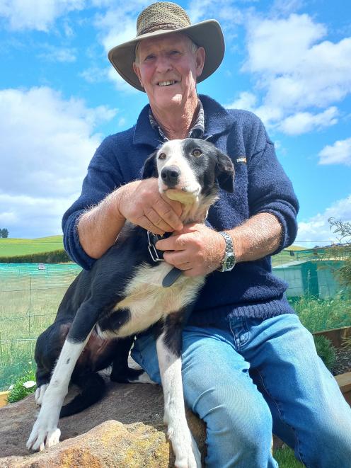 Ali Brenssell and Bet, the young heading dog he is selling at this month’s Lawrence dog sale,...