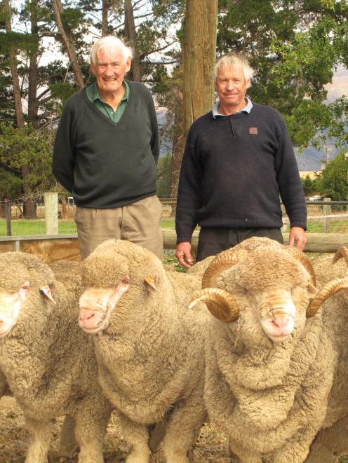 Bill (left) and Robbie Gibson, from a pioneer Wānaka Show family, with their merino sheep. PHOTO:...