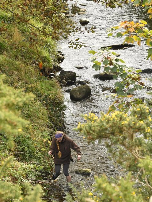 Kaikorai stream. PHOTO: ODT FILES