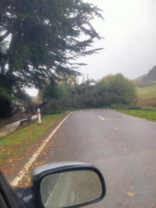 A fallen tree on Gebbies Pass Rd. Photo: Supplied
