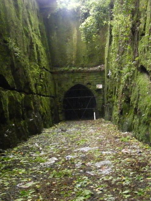 The Caversham tunnel. PHOTO: ODT FILES