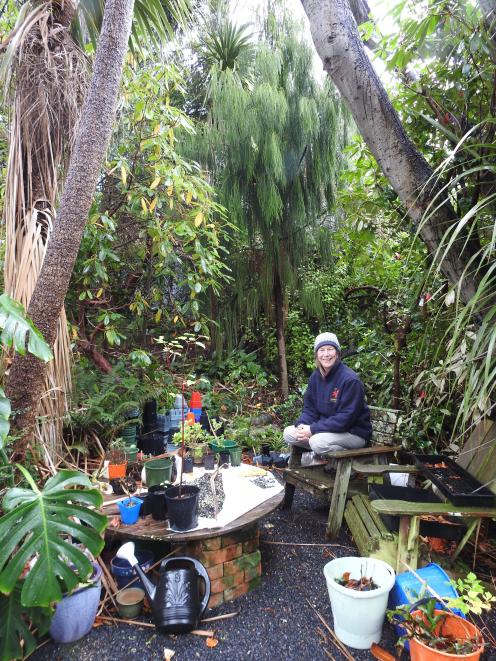 Marianne Groothuis’ outdoor office is surrounded by native trees, including a rimu in the...