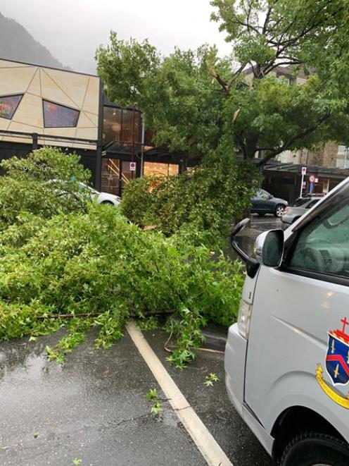 A tree down in central Queenstown next to the Louis Vuitton store. Photo: Tu Bull